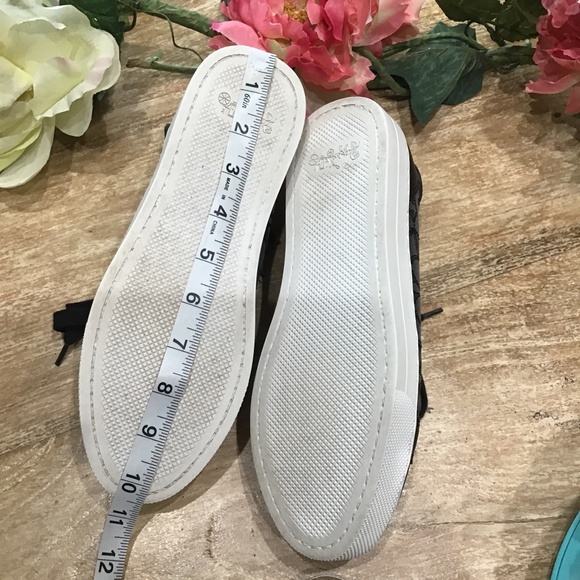 Coach- Paddy Signa. Logo Sneakers - Picture 9 of 14